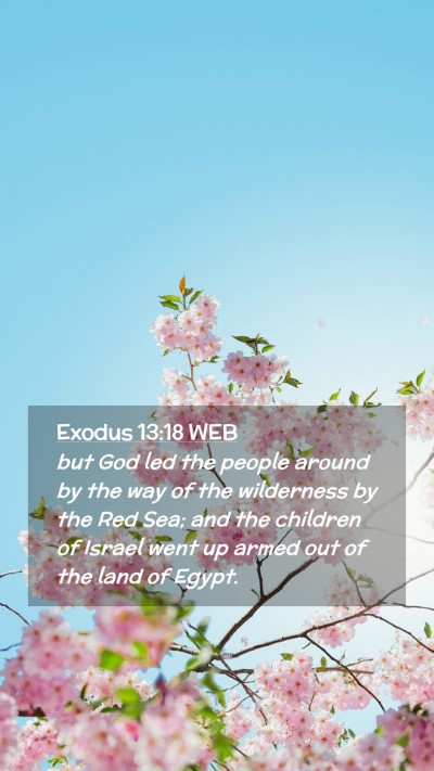 Picture 02 - Exodus 13:18 WEB Mobile Phone Wallpaper - but God led the people around by the way of the - Mobile Bible Verse Wallpaper