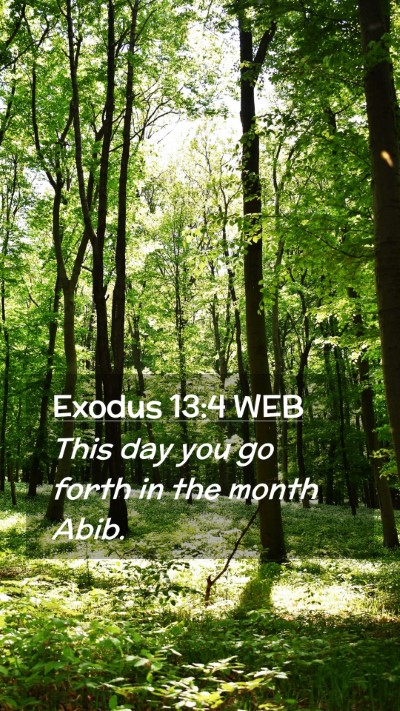 Picture 02 - Exodus 13:4 WEB Mobile Phone Wallpaper - This day you go forth in the month - Mobile Bible Verse Wallpaper