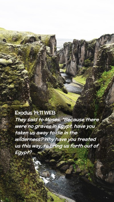 Picture 02 - Exodus 14:11 WEB Mobile Phone Wallpaper - They said to Moses, 