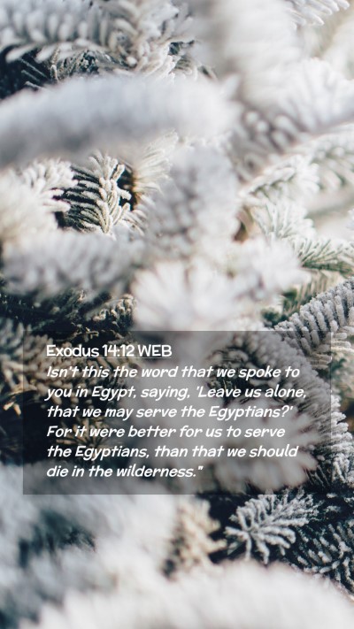 Picture 02 - Exodus 14:12 WEB Mobile Phone Wallpaper - Isn't this the word that we spoke to you in - Mobile Bible Verse Wallpaper