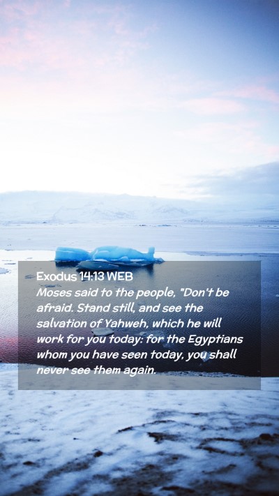 Picture 02 - Exodus 14:13 WEB Mobile Phone Wallpaper - Moses said to the people, 