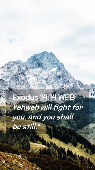 Picture 02 - Exodus 14:14 WEB Mobile Phone Wallpaper - Yahweh will fight for you, and you shall be - Mobile Bible Verse Wallpaper
