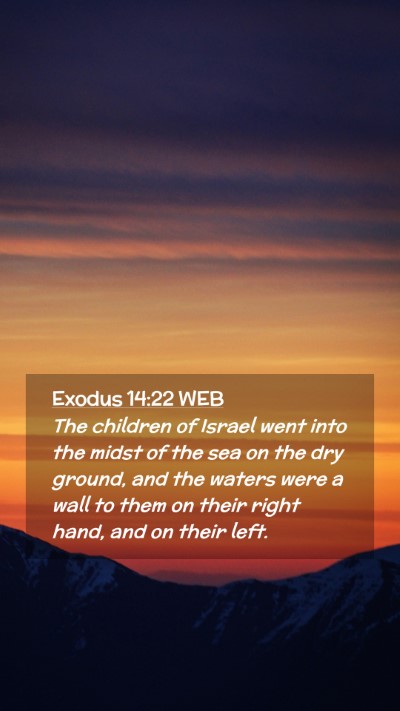 Picture 02 - Exodus 14:22 WEB Mobile Phone Wallpaper - The children of Israel went into the midst of the - Mobile Bible Verse Wallpaper