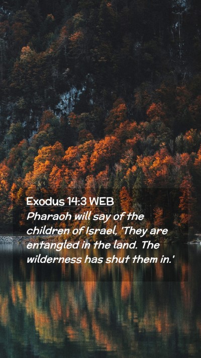 Picture 02 - Exodus 14:3 WEB Mobile Phone Wallpaper - Pharaoh will say of the children of Israel, 'They - Mobile Bible Verse Wallpaper