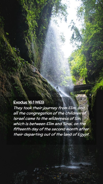 Picture 02 - Exodus 16:1 WEB Mobile Phone Wallpaper - They took their journey from Elim, and all the - Mobile Bible Verse Wallpaper