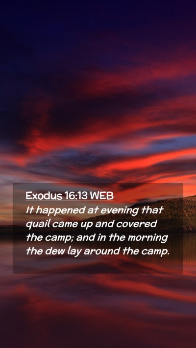 Picture 02 - Exodus 16:13 WEB Mobile Phone Wallpaper - It happened at evening that quail came up and - Mobile Bible Verse Wallpaper