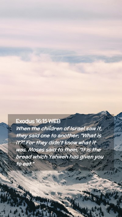Picture 02 - Exodus 16:15 WEB Mobile Phone Wallpaper - When the children of Israel saw it, they said one - Mobile Bible Verse Wallpaper