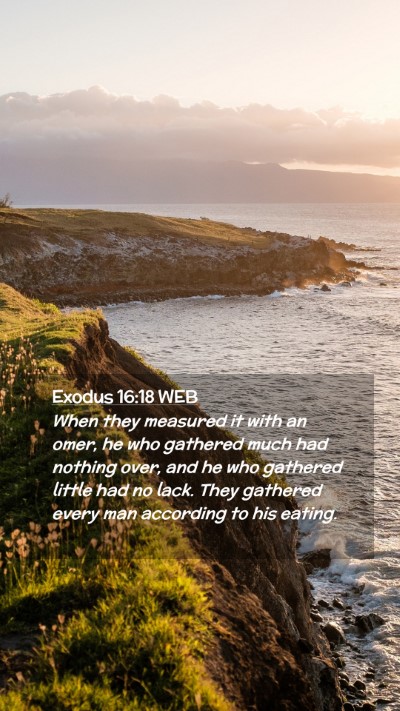 Picture 02 - Exodus 16:18 WEB Mobile Phone Wallpaper - When they measured it with an omer, he who - Mobile Bible Verse Wallpaper