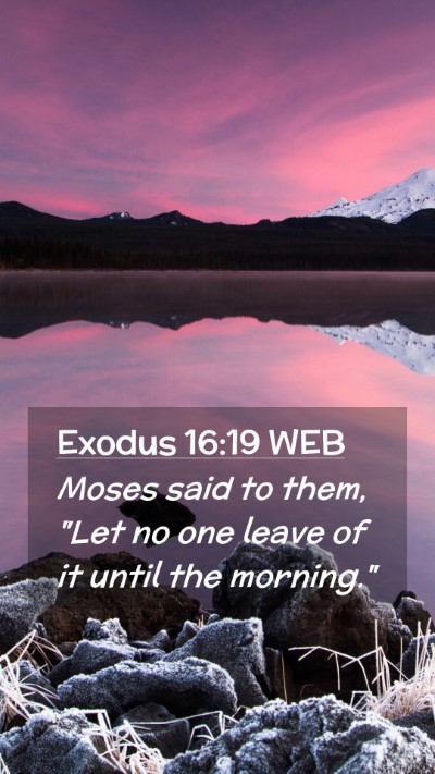 Picture 02 - Exodus 16:19 WEB Mobile Phone Wallpaper - Moses said to them, 