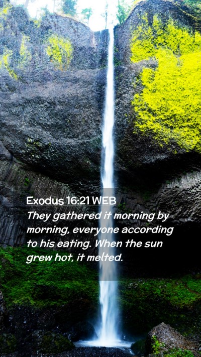 Picture 02 - Exodus 16:21 WEB Mobile Phone Wallpaper - They gathered it morning by morning, everyone - Mobile Bible Verse Wallpaper
