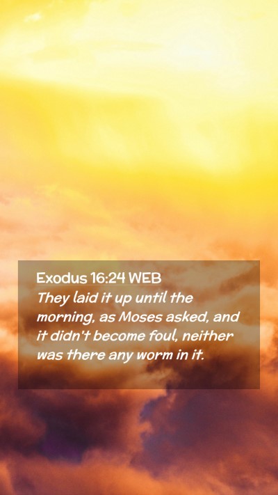 Picture 02 - Exodus 16:24 WEB Mobile Phone Wallpaper - They laid it up until the morning, as Moses - Mobile Bible Verse Wallpaper