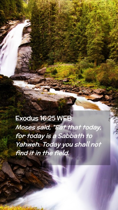 Picture 02 - Exodus 16:25 WEB Mobile Phone Wallpaper - Moses said, 