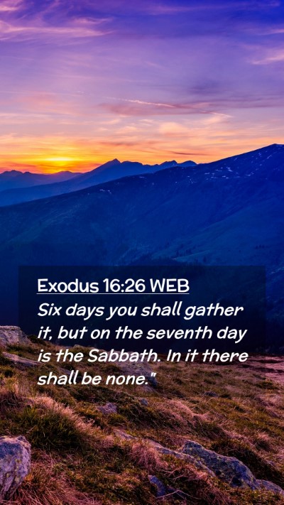 Picture 02 - Exodus 16:26 WEB Mobile Phone Wallpaper - Six days you shall gather it, but on the seventh - Mobile Bible Verse Wallpaper