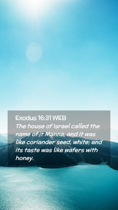 Picture 02 - Exodus 16:31 WEB Mobile Phone Wallpaper - The house of Israel called the name of it Manna, - Mobile Bible Verse Wallpaper