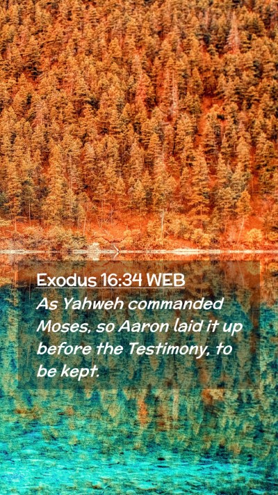 Picture 02 - Exodus 16:34 WEB Mobile Phone Wallpaper - As Yahweh commanded Moses, so Aaron laid it up - Mobile Bible Verse Wallpaper