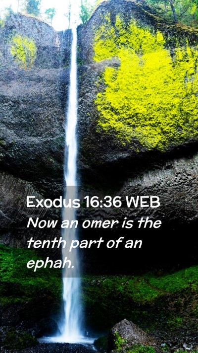 Picture 02 - Exodus 16:36 WEB Mobile Phone Wallpaper - Now an omer is the tenth part of an - Mobile Bible Verse Wallpaper