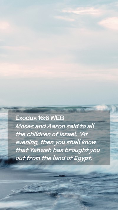 Picture 02 - Exodus 16:6 WEB Mobile Phone Wallpaper - Moses and Aaron said to all the children of - Mobile Bible Verse Wallpaper