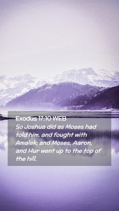 Picture 02 - Exodus 17:10 WEB Mobile Phone Wallpaper - So Joshua did as Moses had told him, and fought - Mobile Bible Verse Wallpaper
