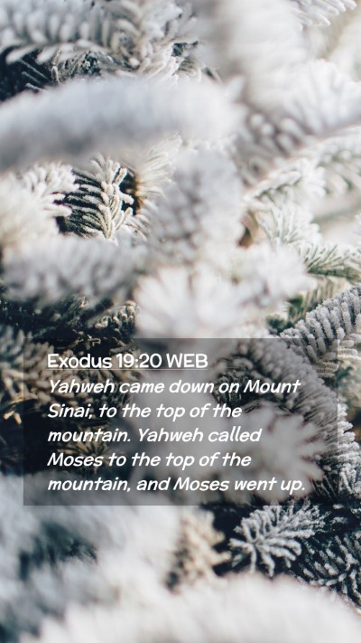 Picture 02 - Exodus 19:20 WEB Mobile Phone Wallpaper - Yahweh came down on Mount Sinai, to the top of - Mobile Bible Verse Wallpaper
