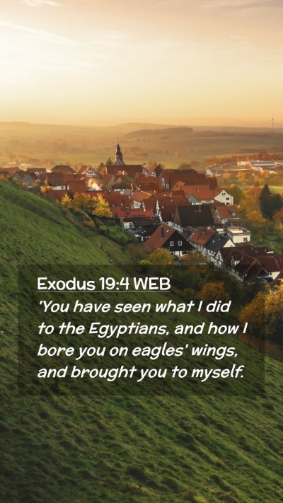 Picture 02 - Exodus 19:4 WEB Mobile Phone Wallpaper - 'You have seen what I did to the Egyptians, and - Mobile Bible Verse Wallpaper