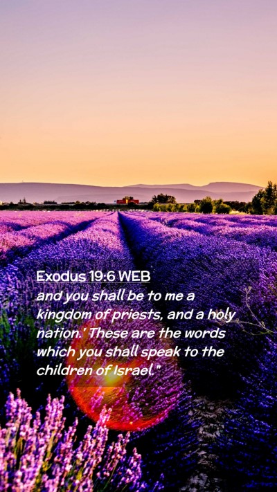 Picture 02 - Exodus 19:6 WEB Mobile Phone Wallpaper - and you shall be to me a kingdom of priests, and - Mobile Bible Verse Wallpaper
