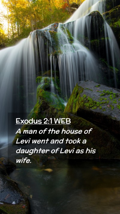 Picture 02 - Exodus 2:1 WEB Mobile Phone Wallpaper - A man of the house of Levi went and took a - Mobile Bible Verse Wallpaper