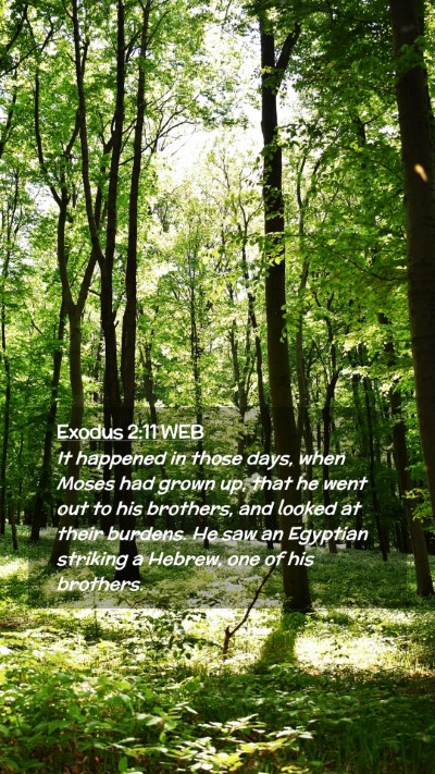 Picture 02 - Exodus 2:11 WEB Mobile Phone Wallpaper - It happened in those days, when Moses had grown - Mobile Bible Verse Wallpaper