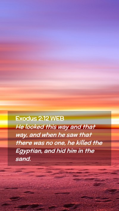 Picture 02 - Exodus 2:12 WEB Mobile Phone Wallpaper - He looked this way and that way, and when he saw - Mobile Bible Verse Wallpaper