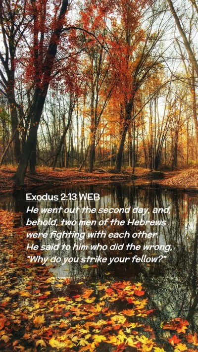 Picture 02 - Exodus 2:13 WEB Mobile Phone Wallpaper - He went out the second day, and, behold, two men - Mobile Bible Verse Wallpaper