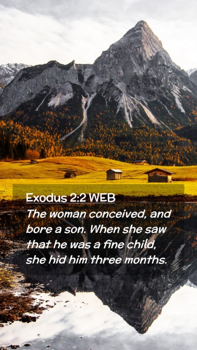 Picture 02 - Exodus 2:2 WEB Mobile Phone Wallpaper - The woman conceived, and bore a son. When she saw - Mobile Bible Verse Wallpaper