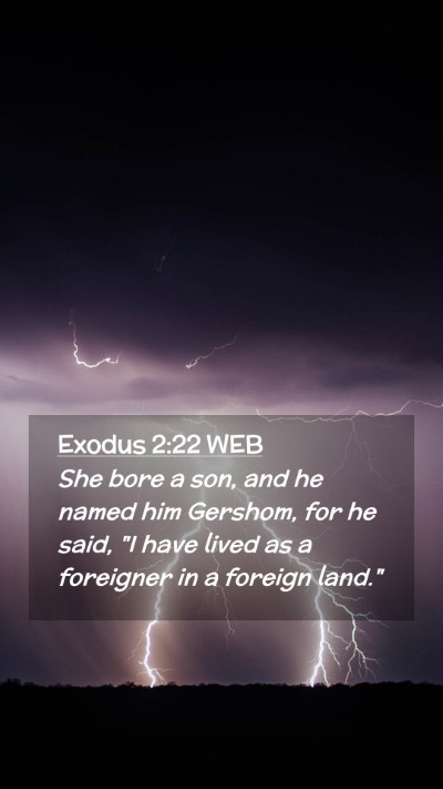 Picture 02 - Exodus 2:22 WEB Mobile Phone Wallpaper - She bore a son, and he named him Gershom, for he - Mobile Bible Verse Wallpaper