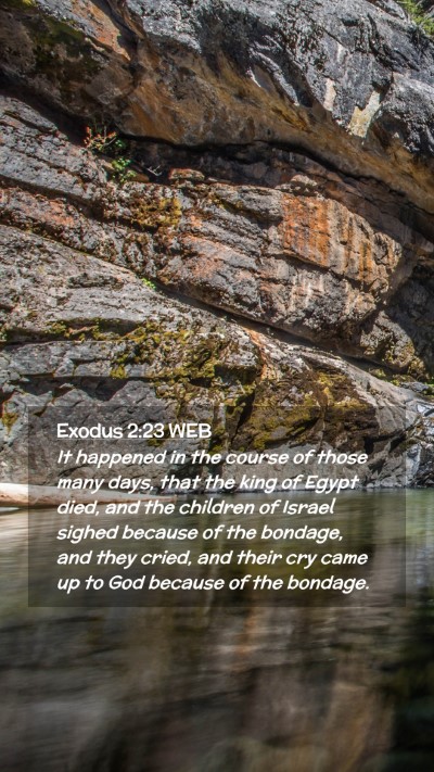 Picture 02 - Exodus 2:23 WEB Mobile Phone Wallpaper - It happened in the course of those many days, - Mobile Bible Verse Wallpaper