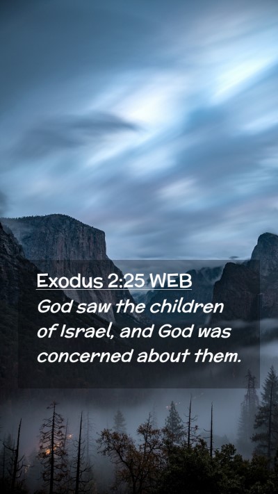 Picture 02 - Exodus 2:25 WEB Mobile Phone Wallpaper - God saw the children of Israel, and God was - Mobile Bible Verse Wallpaper