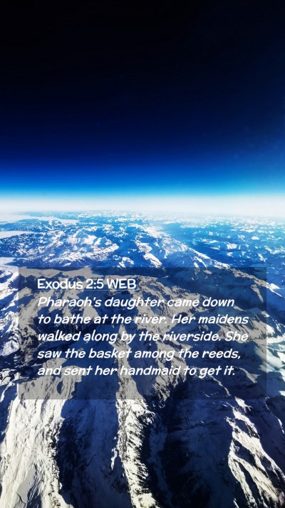 Picture 02 - Exodus 2:5 WEB Mobile Phone Wallpaper - Pharaoh's daughter came down to bathe at the - Mobile Bible Verse Wallpaper