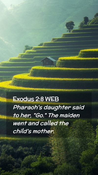 Picture 02 - Exodus 2:8 WEB Mobile Phone Wallpaper - Pharaoh's daughter said to her, 