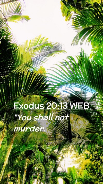 Picture 02 - Exodus 20:13 WEB Mobile Phone Wallpaper - 