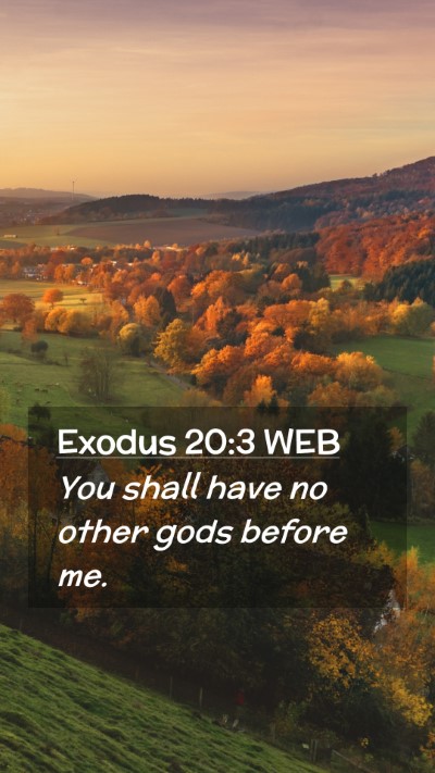 Picture 02 - Exodus 20:3 WEB Mobile Phone Wallpaper - You shall have no other gods before - Mobile Bible Verse Wallpaper