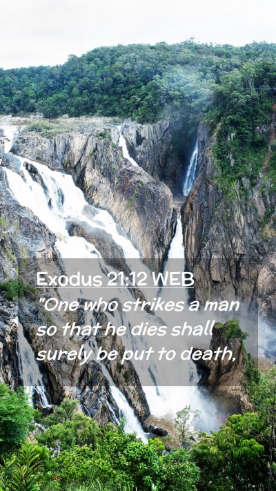 Picture 02 - Exodus 21:12 WEB Mobile Phone Wallpaper - 