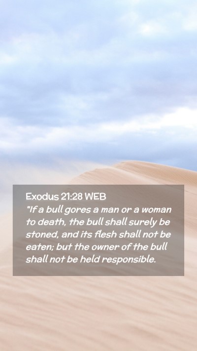 Picture 02 - Exodus 21:28 WEB Mobile Phone Wallpaper - 