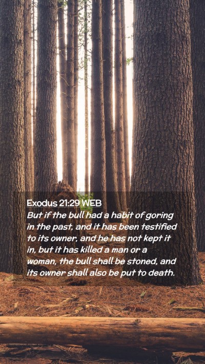 Picture 02 - Exodus 21:29 WEB Mobile Phone Wallpaper - But if the bull had a habit of goring in the - Mobile Bible Verse Wallpaper
