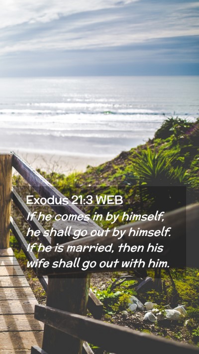 Picture 02 - Exodus 21:3 WEB Mobile Phone Wallpaper - If he comes in by himself, he shall go out by - Mobile Bible Verse Wallpaper