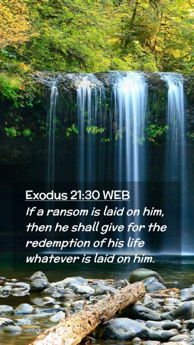 Picture 02 - Exodus 21:30 WEB Mobile Phone Wallpaper - If a ransom is laid on him, then he shall give - Mobile Bible Verse Wallpaper