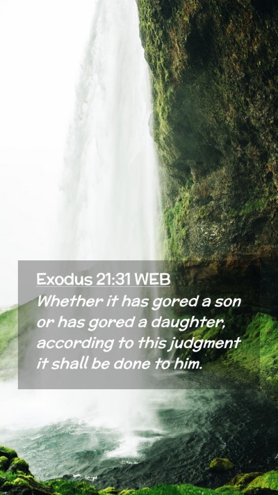 Picture 02 - Exodus 21:31 WEB Mobile Phone Wallpaper - Whether it has gored a son or has gored a - Mobile Bible Verse Wallpaper