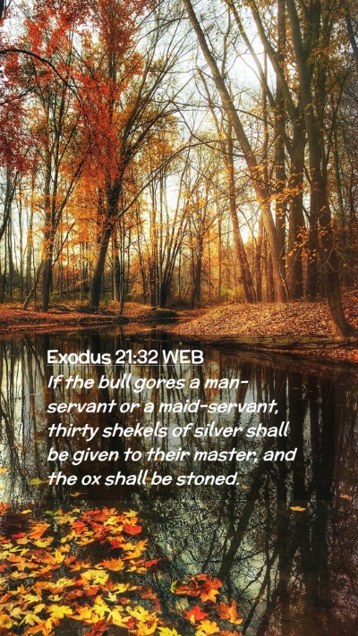 Picture 02 - Exodus 21:32 WEB Mobile Phone Wallpaper - If the bull gores a man-servant or a - Mobile Bible Verse Wallpaper