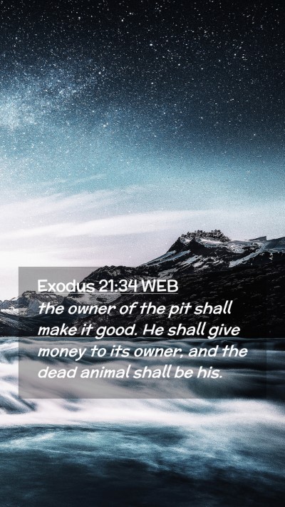 Picture 02 - Exodus 21:34 WEB Mobile Phone Wallpaper - the owner of the pit shall make it good. He shall - Mobile Bible Verse Wallpaper