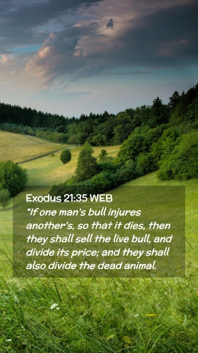 Picture 02 - Exodus 21:35 WEB Mobile Phone Wallpaper - 