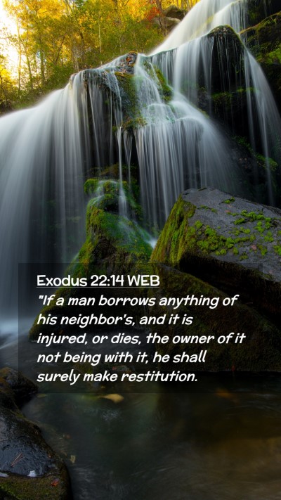 Picture 02 - Exodus 22:14 WEB Mobile Phone Wallpaper - 