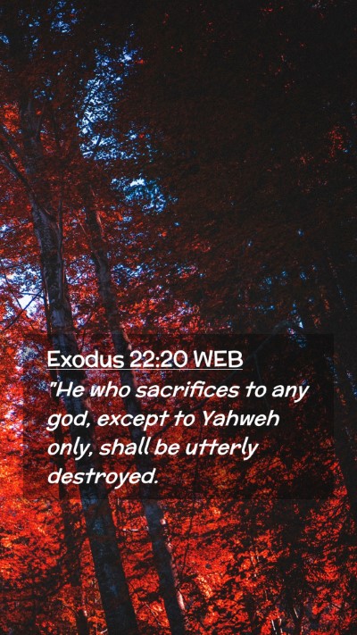 Picture 02 - Exodus 22:20 WEB Mobile Phone Wallpaper - 