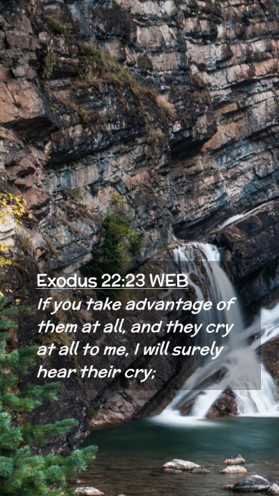 Picture 02 - Exodus 22:23 WEB Mobile Phone Wallpaper - If you take advantage of them at all, and they - Mobile Bible Verse Wallpaper
