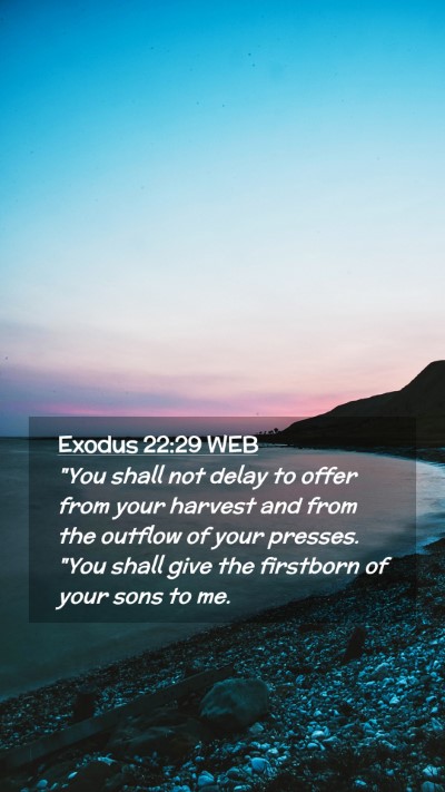 Picture 02 - Exodus 22:29 WEB Mobile Phone Wallpaper - 
